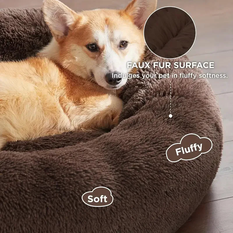 Bed Sofa