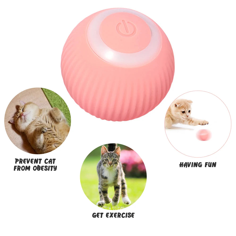 CatCraze™ Motion Ball