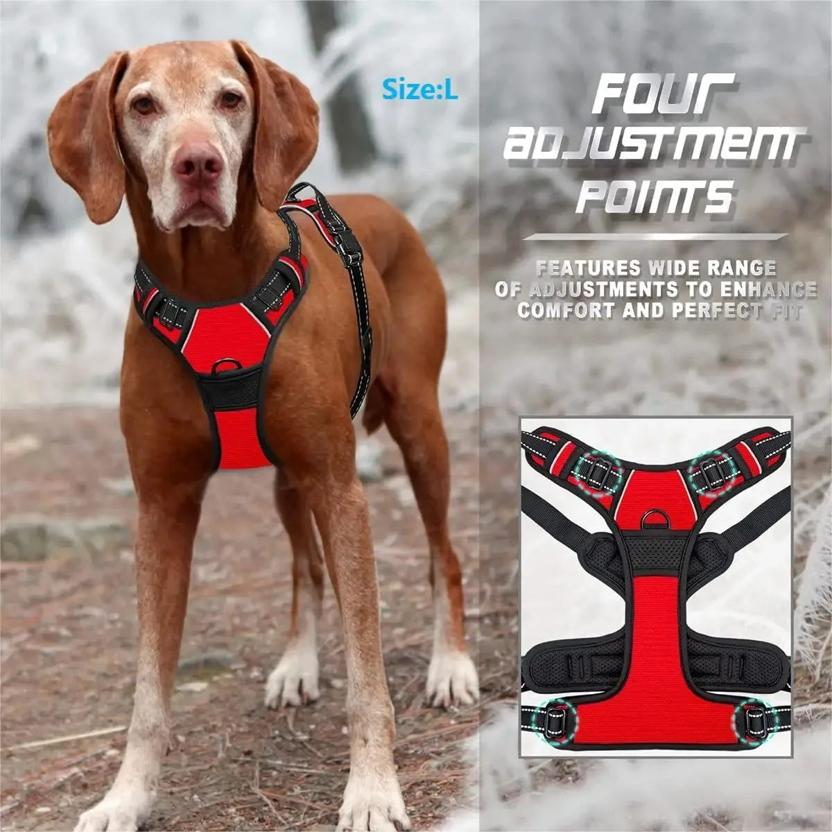 LeadMaster™ Pro – No-Pull Control Harness