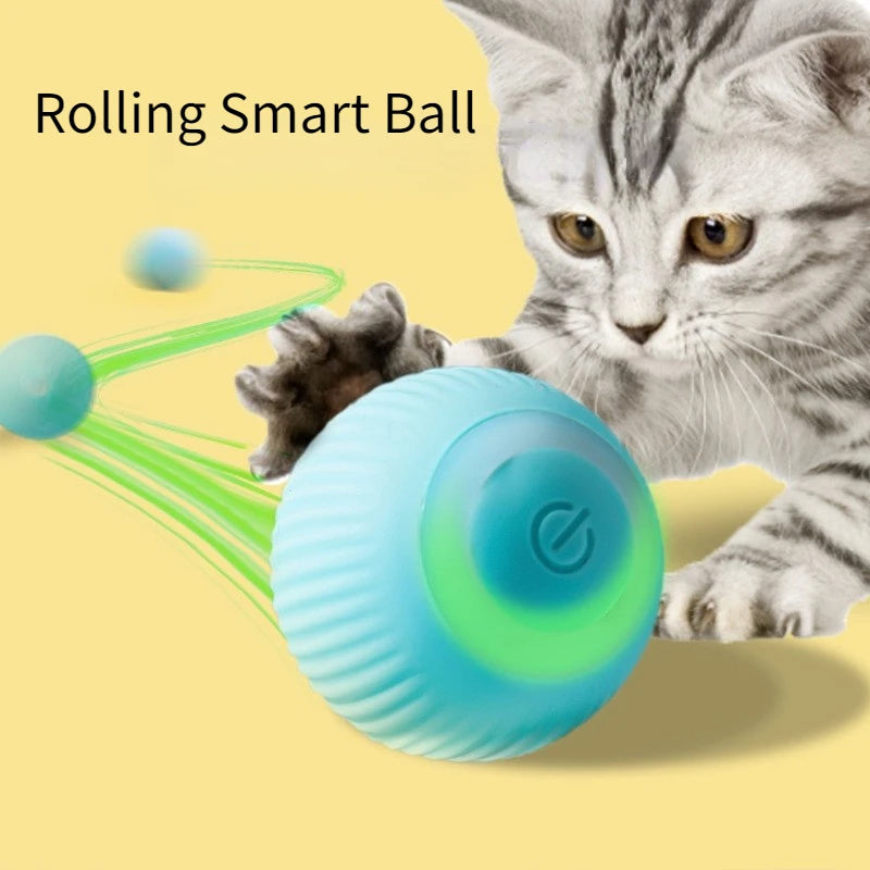 CatCraze™ Motion Ball